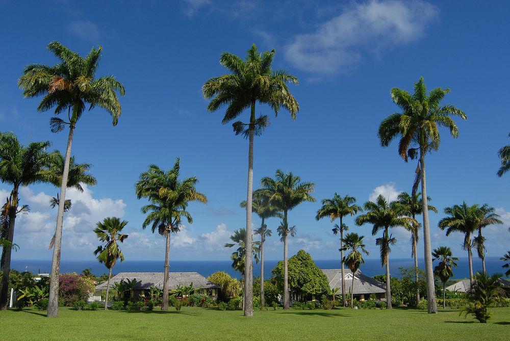 Ottleys Plantation Inn Cayon Bagian luar foto