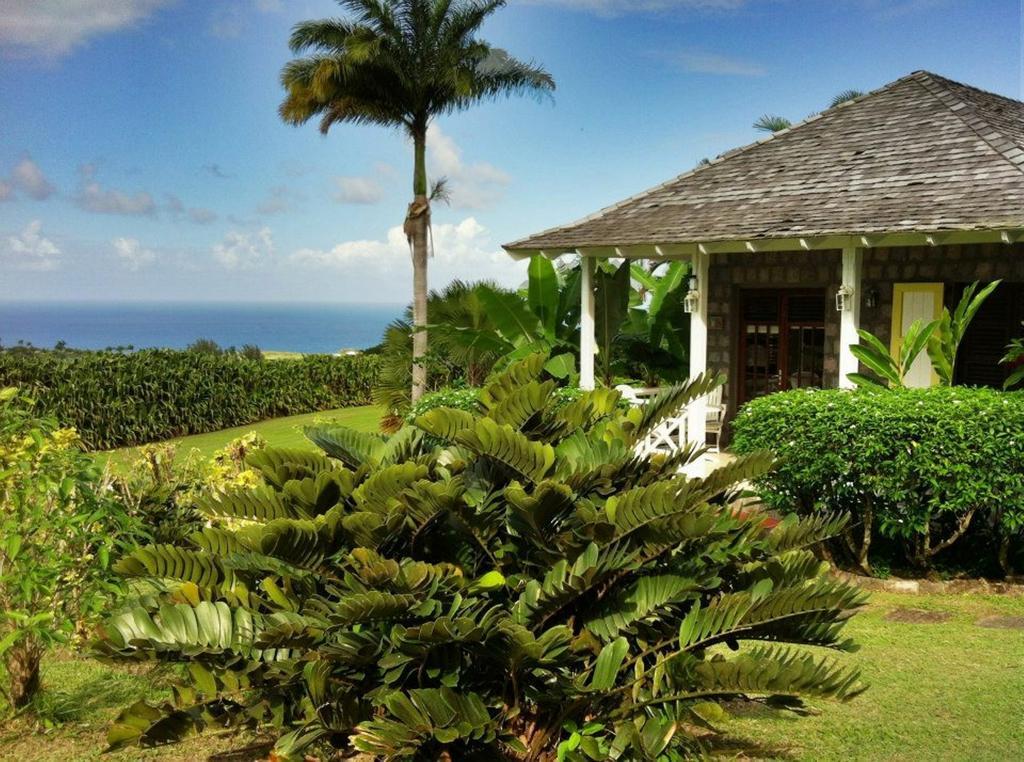 Ottleys Plantation Inn Cayon Bagian luar foto